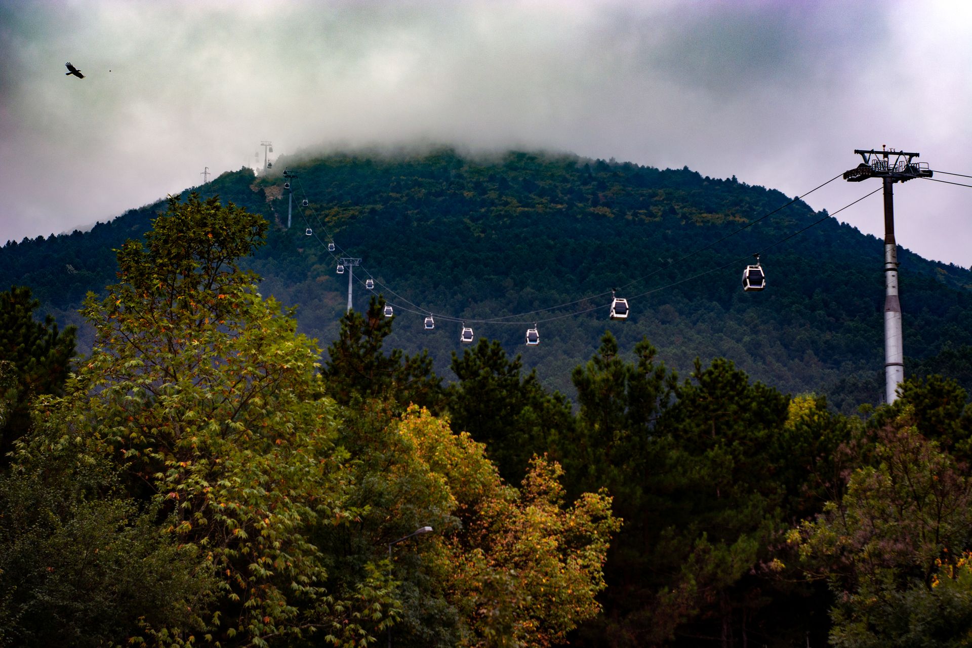 Elevated natural landscape view representing peaceful thermal retreat environments.