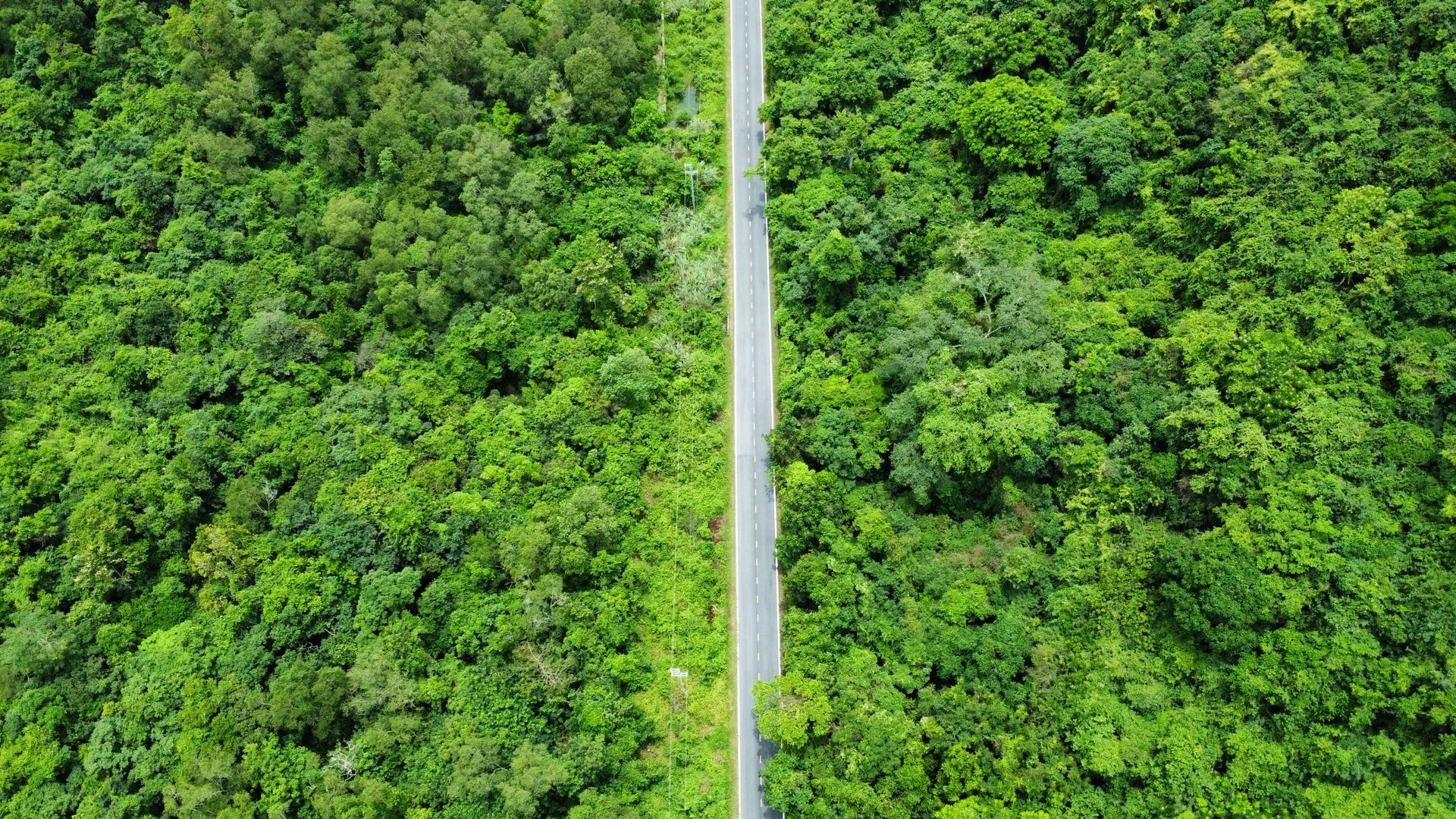 Elevated view of a modern multi-lane highway corridor passing through dense green forest towards suburban districts.